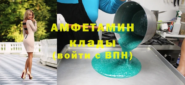 гашик Алексин