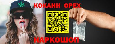 стаф Донской