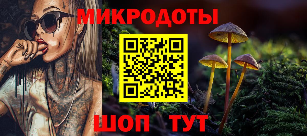 Междуреченск  Псилоцибиновые грибы Psilocybine cubensis  Вход с VPN 