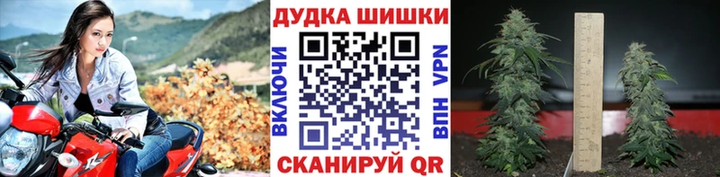купить Междуреченск Канабис OG Kush